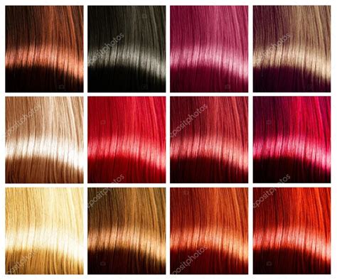 Hair Colors Palette — Stock Photo © Subbotina 80038474