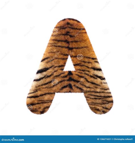 Tiger Letter A Capital D Feline Fur Font Suitable For Safari