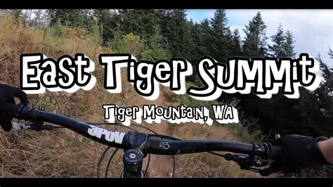 East Tiger Summit Mountain Bike Tiger Mountain Wa Youtube