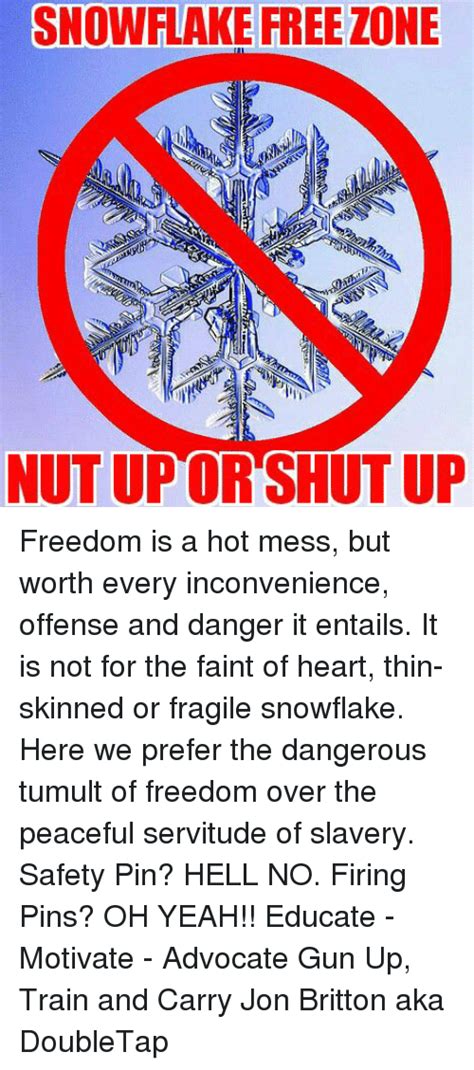 Snowflake Free Zone Nutupor Shut Up Freedom Is A Hot Mess But Worth