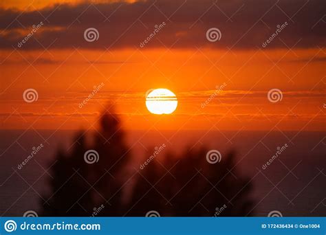 Beautiful Red Sunset Over The Ocean Through The Trees Stock Photo