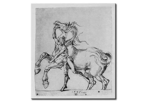 Riproduzione quadro Nude man with horse Albrecht Dürer Quadri famosi