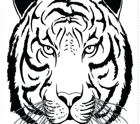 Cute bumble bee coloring pages. Cute Baby Tiger Coloring Pages at GetColorings.com | Free ...