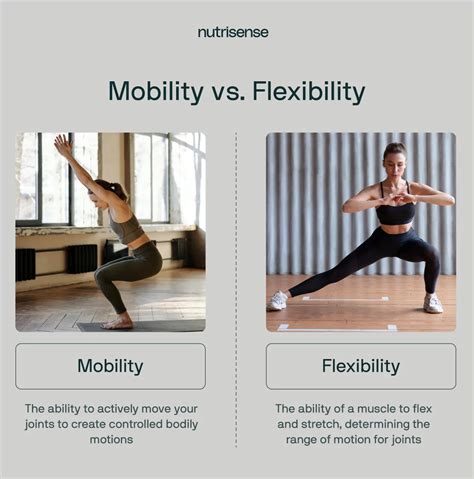 The Dynamic Duo Understanding The Difference Between Mobility Vs