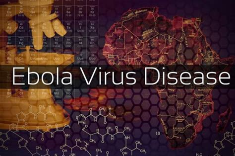 Ebola virus and marburg virus are related viruses that may cause hemorrhagic fevers. Ebola Virus Diseases (EVD) Implication of Introduction in ...