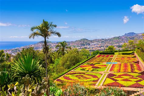 10 Best Things To Do This Summer On Madeira Island Make The Most Of