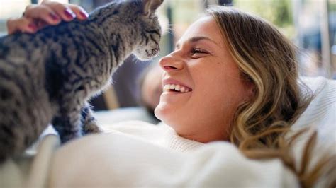 7 Tips For Becoming The Best Pet Owner Ever