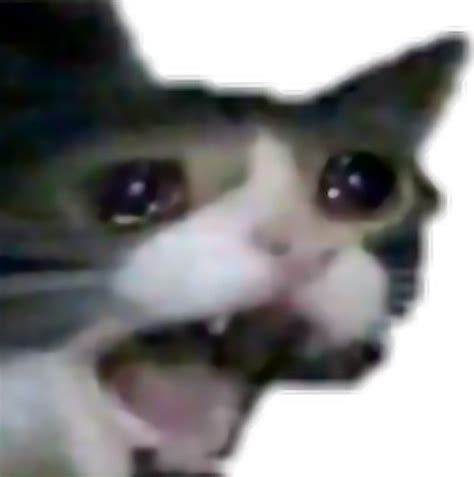 1 Result Images Of Crying Cat Meme Png Png Image Collection
