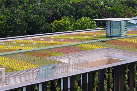 Elmich Green Roof And Wall At Temasek Polytechnic Singapore Elmich Global
