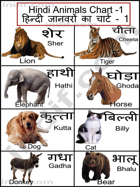 HINDI EK PAHACHAN: LEARN HINDI THROUGH VARIOUS CHARTS