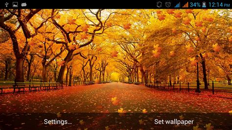 Free Live Fall Wallpapers Sf Wallpaper