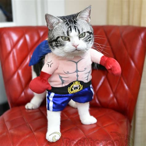 Funny Dog Cat Costumes Boxer Cosplay Suit Pet Clothing ...