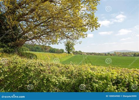 Summertime Scenery In The Herefordshire Countryside Stock Photo
