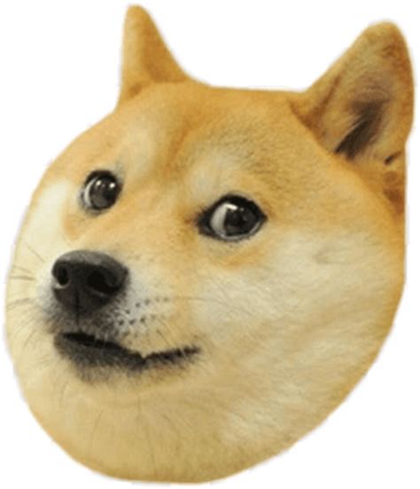 Dog Doge Meme Memes Freetoedit Doge Sticker By Jose Noway