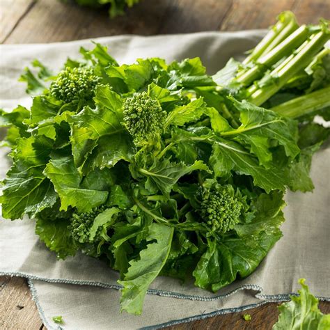 Leafy Greens 101 Your Guide To The Leafy Green Vegetables You Should