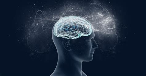 The 5 Differences Between Brain And Mind 2024