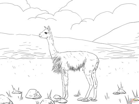 South America Coloring Page - Coloring Home