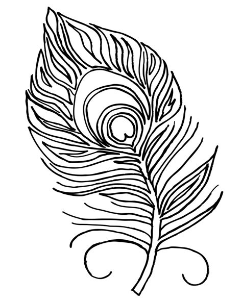 97 Feather Coloring Pages For Adults Gabbymay Belline