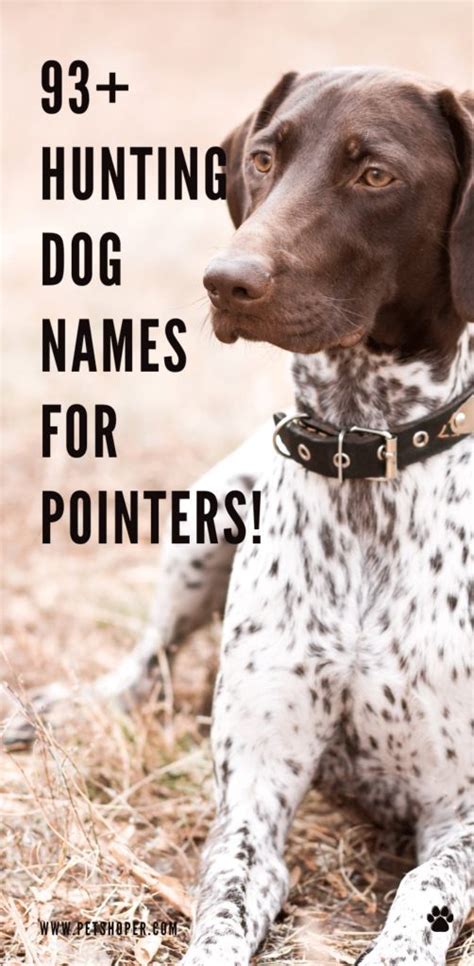 Pin On Pet Names