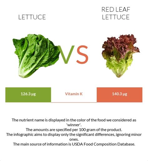 Lettuce Vs Red Leaf Lettuce In Depth Nutrition Comparison