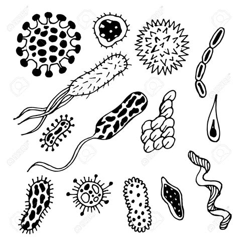 Bacteria Black And White Clipart Wikiclipart Images And Photos Finder