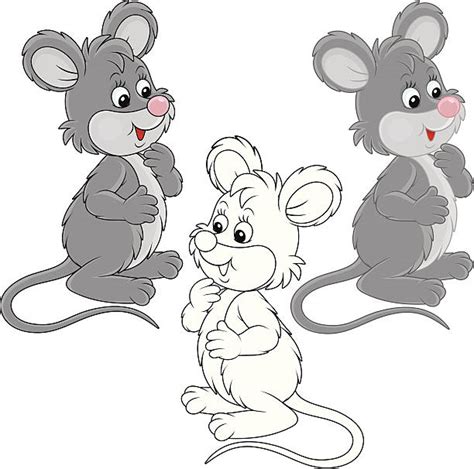 Best Field Mouse Illustrations Royalty Free Vector Graphics And Clip Art