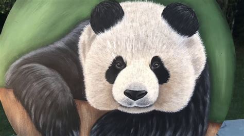 Panda Bear Acrylic Painting Youtube