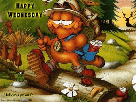 Garfield Happy Wednesday Quote Pictures Photos And Images For