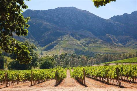 Cape Town Wine Tasting Tour In The Cape Winelands