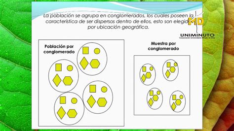 Informaciones Agronomicas Como Se Realiza Un Muestreo Tipos De Muestreo