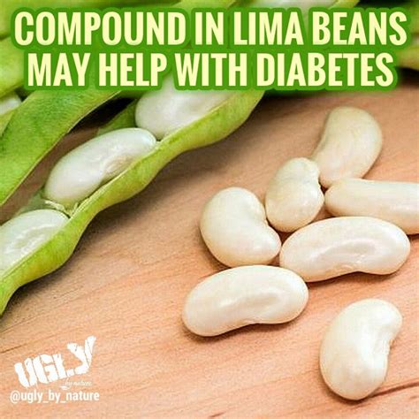 Lima Beans Good For Diabetics Diabeteswalls