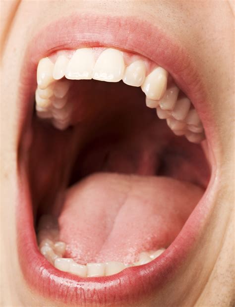Free Mouth Download Free Mouth Png Images Free Cliparts On Clipart
