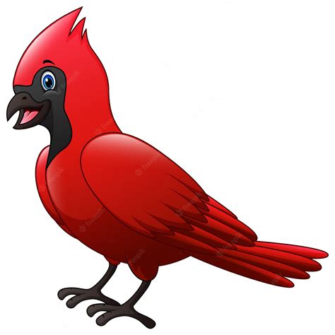 Bonito Um Desenho De Pássaro Cardinal Vetor Premium