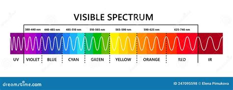 Spectrum Wavelength Visible Spectrum Color Range Educational Physics