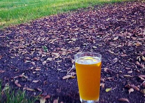 4 types of lawn fertilizer. Homemade Fertilizer With Beer | Cromalinsupport