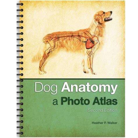 Dog Anatomy A Photo Atlas