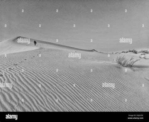 Man Walking In Sand Dunes On Desert Stock Photo Alamy