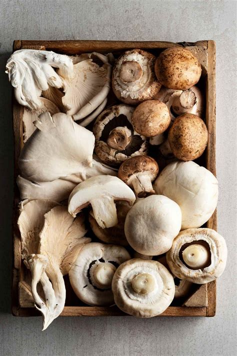 How To Tell If Mushrooms Are Bad Women In The News