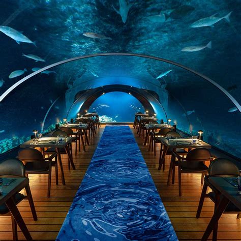 58 Undersea Restaurant At Hurawalhi Komandoo Ts