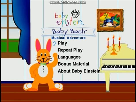 Bach The Rabbit Baby Einstein Wiki Fandom