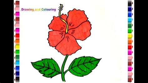 Maybe you would like to learn more about one of these? Gambar Bunga Sepatu Untuk Kolase - Bagian dan gambar bunga ...