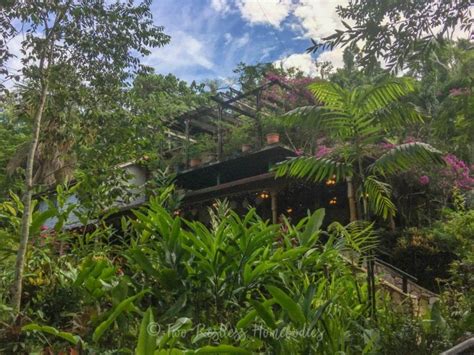 Exploring A Belize Jungle Resort Our Stay At Ian Andersons Caves