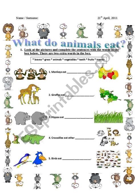 What Do Animals Eat Esl Worksheet By Janeausten2024