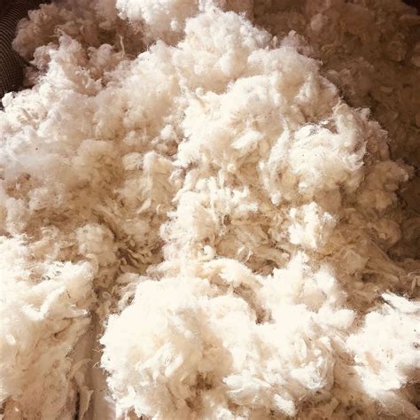 Natural Wool Insulation For Loose Fill In Green Homes Havelock Wool