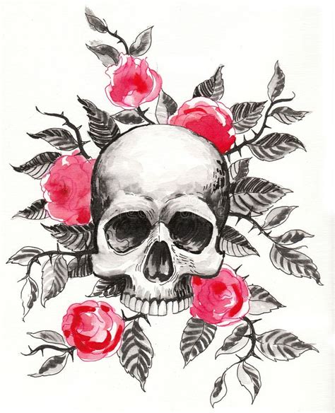 Skull And Roses Stock Illustration Illustration Of Sketch 111997550