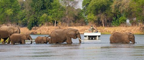 Classic Zimbabwe Safari Package: Hwange and Mana Pools - Africa Endeavours