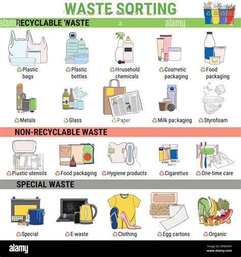 Waste Infographic Sorting Garbage Segregation And Recycling