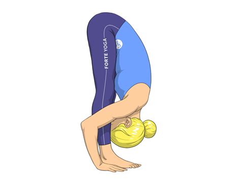 Standing Forward Bend Yoga Pose Forte Yoga