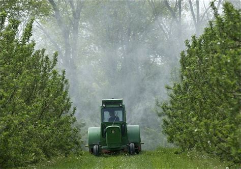 At the time of processing, the temperature should be not less +5 °c. Year-round spraying helps protect fruit - Toledo Blade