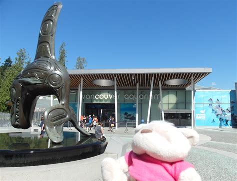 Check spelling or type a new query. Things to do and Attractions in Vancouver Canada ...